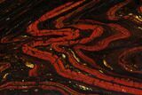 Polished Tiger Iron Stromatolite - ( Billion Years) #96228-1